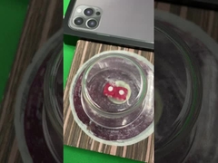 Sistema magnetico elettronico di frode su misura dei dadi del dispositivo dei dadi