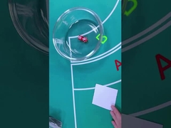 Setti di dadi in plastica da 12 mm / 16 mm Gioco di casinò Gioco di gioco Dici con stampa animale